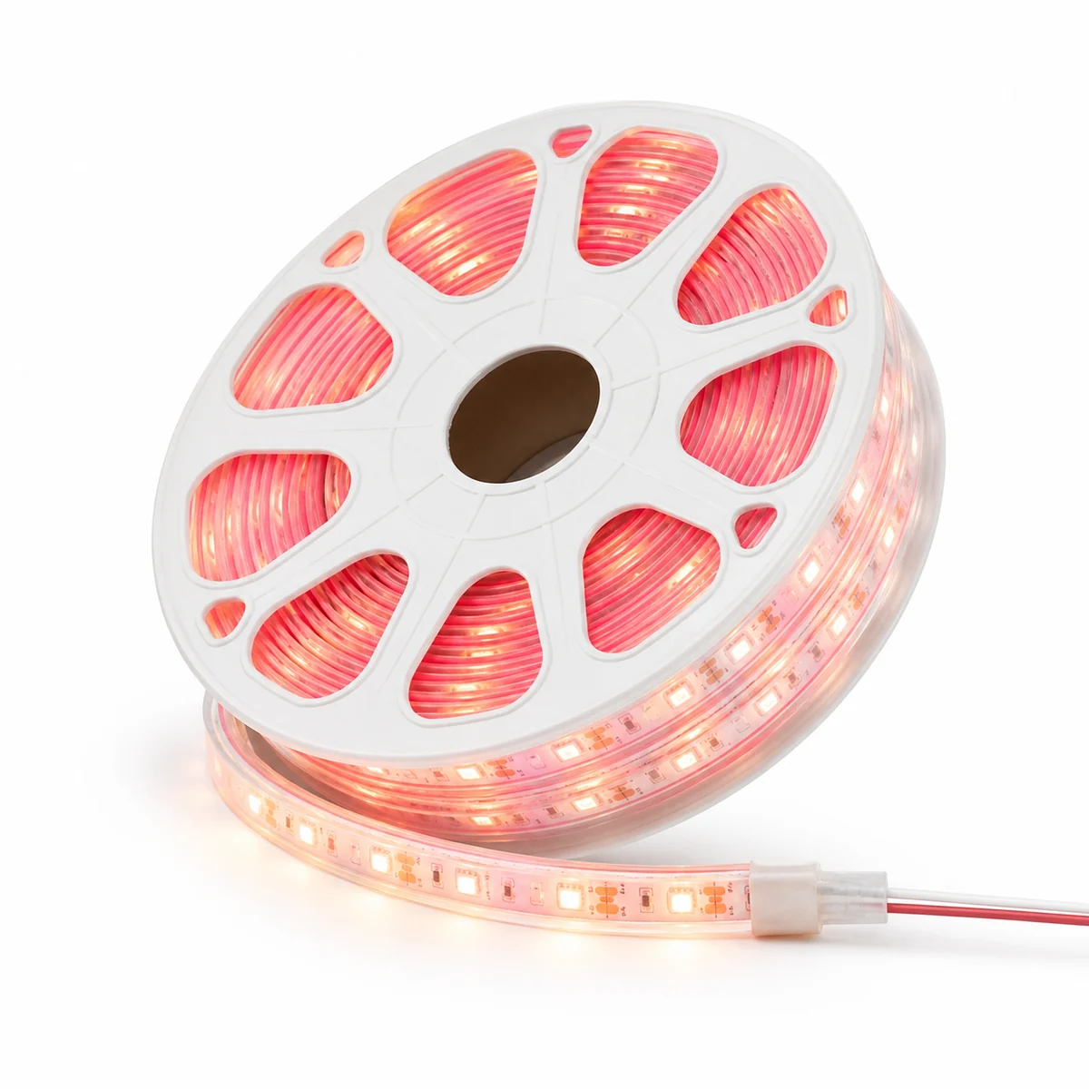 6x12mm DC12V LED Neon Flex product photo